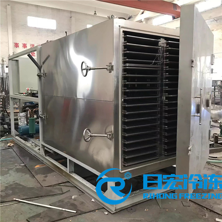 南京RH-FD-20平真空冷冻干燥机