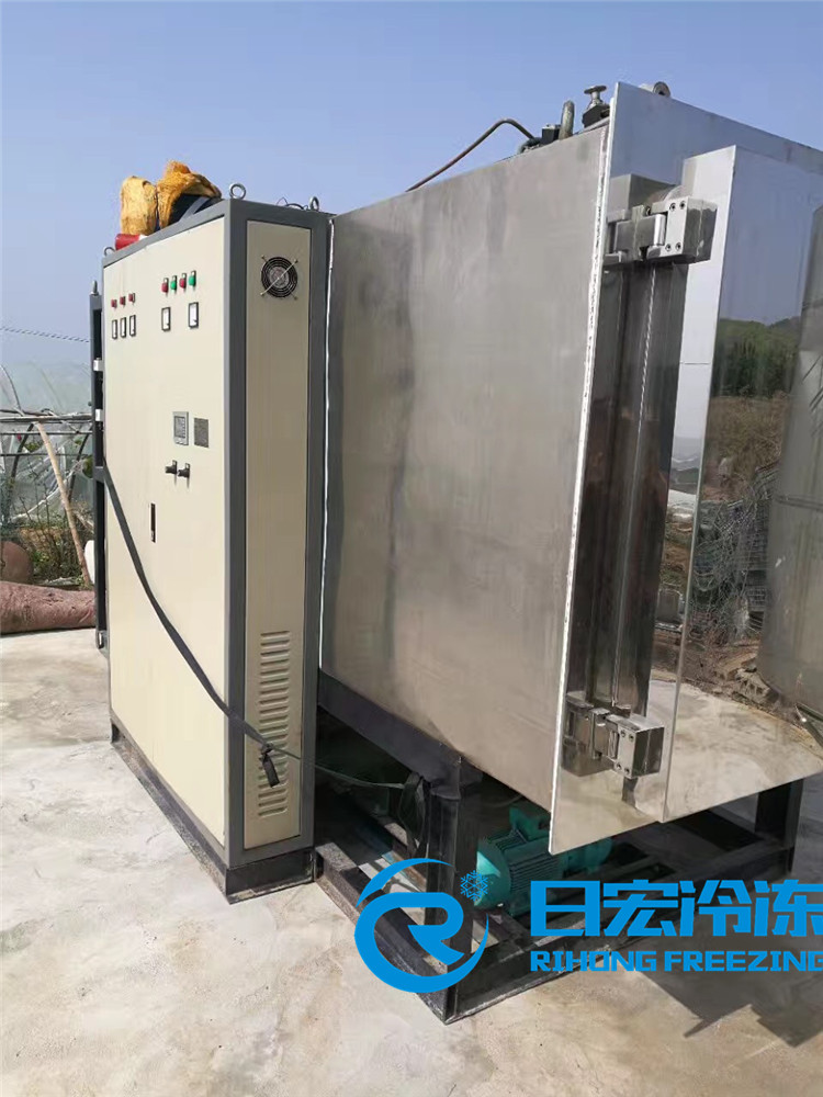 南京RH-FD-10平真空冷冻干燥机