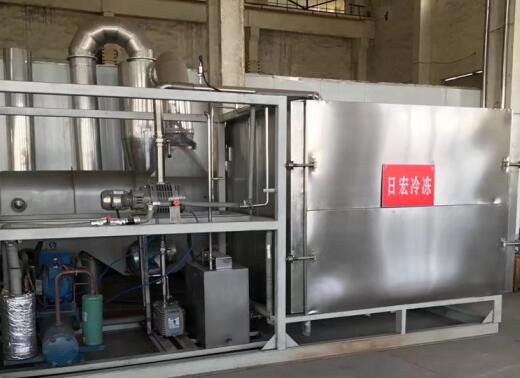 牛肉真空冷冻冻干机 牛肉真空冷冻冻干机